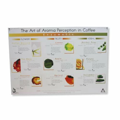 Art Of Aroma Set Of 4 Posters SCAA 4 Art Of Aroma Set Of 4 Posters SCAA - Image 2