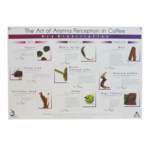 Art Of Aroma Set Of 4 Posters SCAA 7 Art Of Aroma Set Of 4 Posters SCAA - Image 5